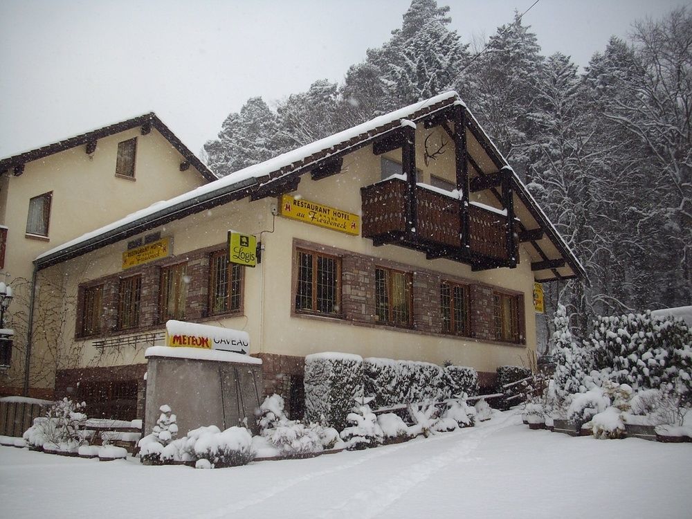 Le Freudeneck Hotel Wangenbourg-Engenthal Bagian luar foto
